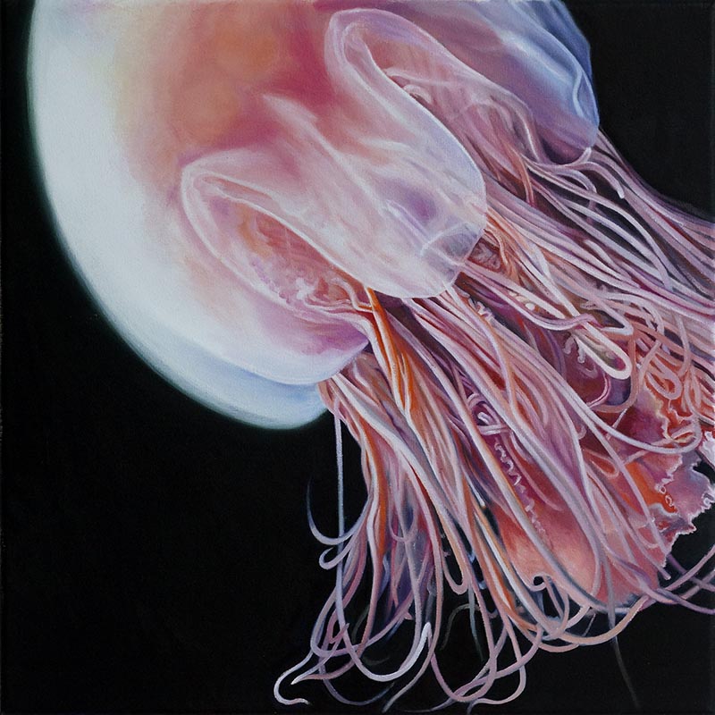Michaela Wühr | Jellyfish 01