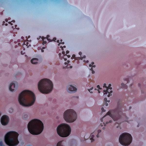 Michaela Wühr | Jellyfish Detail 02